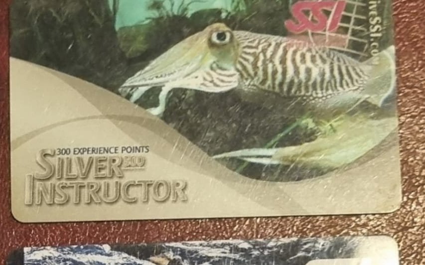 SSI Silver 300 Instructor kartının ön yüzü — 2009 kademesi